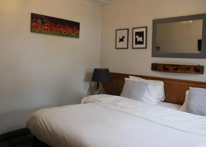 Argyle Guest House