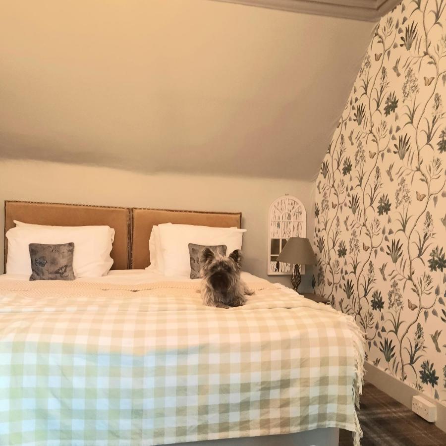 Argyle